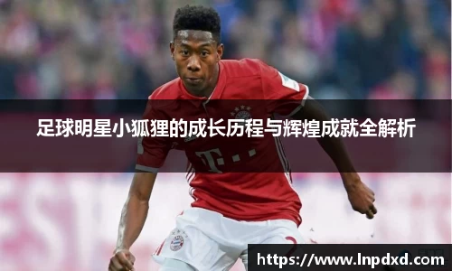 足球明星小狐狸的成长历程与辉煌成就全解析